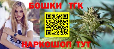 крисы Новокубанск