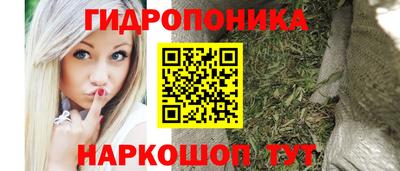 крисы Новокубанск