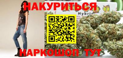 крисы Новокубанск