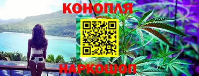 наркотики Новозыбков