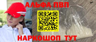 крисы Новокубанск