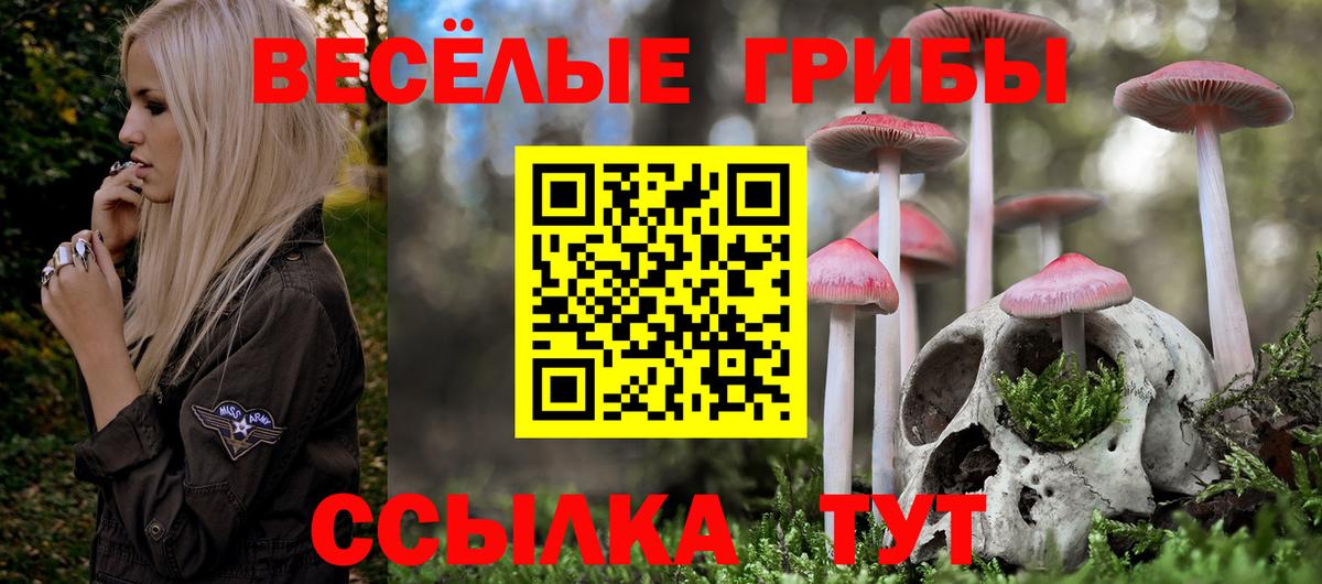 Галлюциногенные грибы мухоморы Тавда