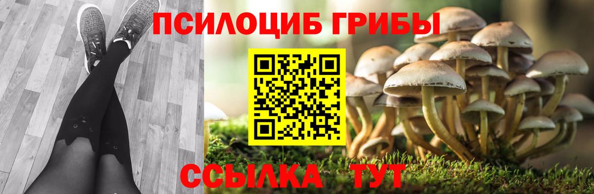 Псилоцибиновые грибы Magic Shrooms  Вход с VPN  Тавда  Псилоцибиновые грибы Psilocybine cubensis 